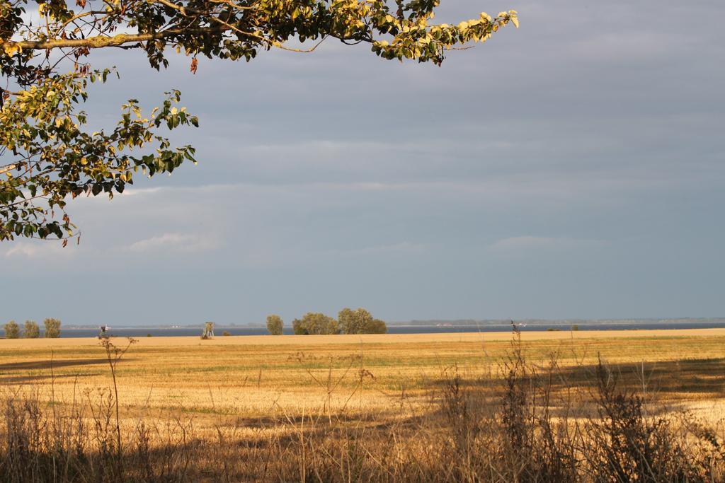 Seeblick Barhoft